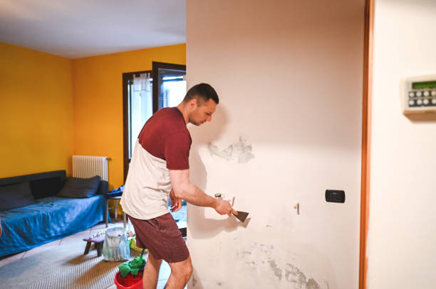 Best Mold Testing and Inspection Services in Elkader, IA